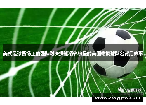 美式足球赛场上的强队对决探秘精彩纷呈的美国橄榄球队名背后故事
